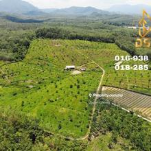 GERIK @ Durian Farm For SALE, Kuala Kangsar , Kulim, Gerik