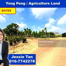 Yong peng batu pahat agriculture land for sale