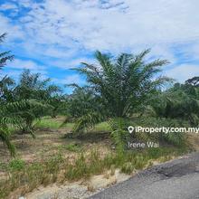 Roadside Freehold Palm Oil land For Sale