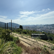 18.8-Acre Freehold Orchard Lands in Paya Terubong.