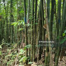 Very Cheap Malay Reserved Land @ Kerling Hulu Selangor