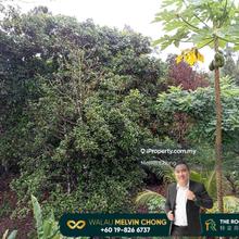 Stephen Yong Area Land With Detached Single Storey House For Sale