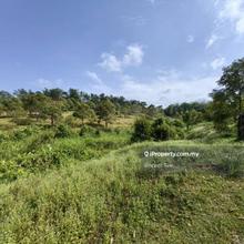 9.1 Acres Freehold Musang King Durian Farm Raub