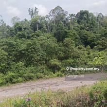 Gebeng, Kuantan - lfs080 Industrial Land