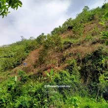 Agriculture land for Sale