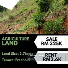 Rent - Negeri Sembilan Agriculture Land