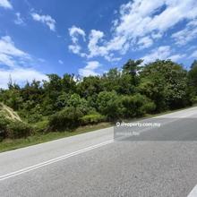 1.5 Acre Freehold Durian Farm Facing Main Road Bentong Town