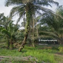 Agriculture Land Zoning Residential at Telok Panglima Garang