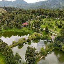Resort with Durian Farm For Sale