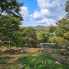 For Sale Durian Farm Hulu Langat, Selangor