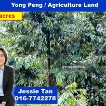 Yong peng air hitam agriculture land for sale