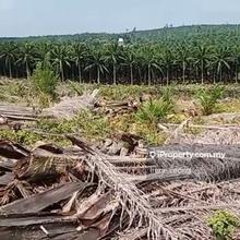 45 ac Sri Jaya Facing Main Road Oil Palm Land For Sales , Maran