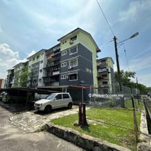 Cempaka, Kempas, Tampoi