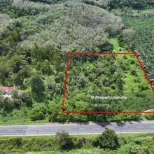 Vacant land beside main road