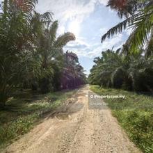 5 Acres Freehold Agriculture Land Jeram Kuala Selangor
