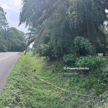 Pekan nanas 