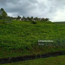 Facing Main Road, Square Flat Land, Freehold, Agriculture Land
