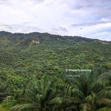 Gua Musang Nice Agriculture Land For Sale