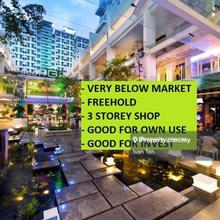 Very Below Market 3 Storey Shop at Scott Garden for Sale