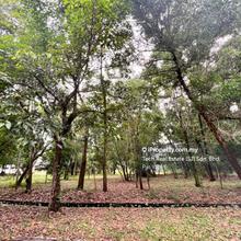 Quiet forrest nature privacy 