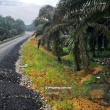 For Sale Agricultural Land @ Kulai