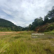 27254sf Flat Land Rena Park Sungai Rusa Balik Pulau  