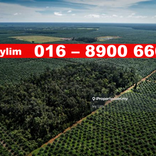 Brought To You By Ivy Lim (Ex-Valuer)