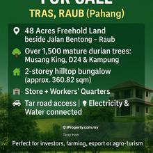 48-Acre Freehold Durian Orchard with Bungalow Tras, Raub, Pahang