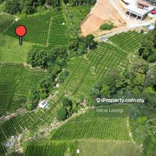Agriculture land for Sale