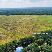 Tanah Pertanian 105 Ekar di Pekan, Pahang untuk dijual