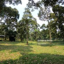 Spacious 65 Acres Residential Land Mantin, Negeri Sembilan