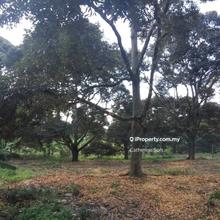 Agriculture land for Sale