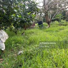 Durian farm Agricultural Land for sale 