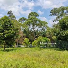 Kulai Zone Bukit Batu Agriculture land for sales