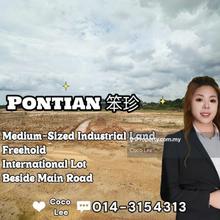 Pontian @ Medium-Sized Industrial Land 