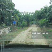 66 acres oil palm plantation @ Kuala Selangor for sale