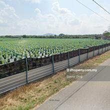 4.7 acres agriculture land @ Kampung Batang Rokan Gemencheh main road