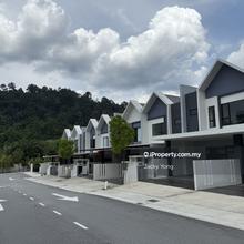 Sierra Hijauan Brand New Greenery Landed