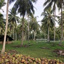 Industrial land for Sale