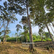 Pahang, Karak. Kampung Teroh, Agricultural Land For Sale