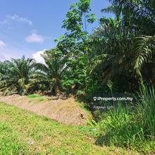 For Sale - 168 Acres Agriculture Land @ Pontian Besar, Johor