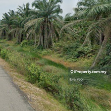 Prime Land Worth Buying