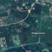 Kota Tinggi Kampung Sayang Agriculture Land
