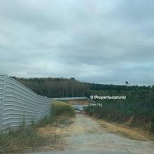 Jasin, freehold algriculture land 9.87 acres for sale