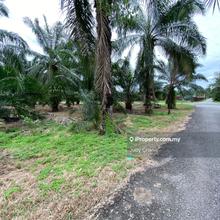 Sijangkang Flat Agri Land 5acs Freehold!! Klang Banting 