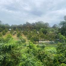 Agriculture land for Sale- Kg. Kongsai, Jasin, Melaka