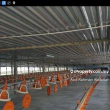 17acre with Chicken Farm for Sale in Muar Johor