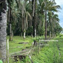 Bidor Perak, Agriculture Land  For Sale, Freehold