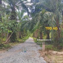 3acres Agriculture Land @ Teluk Panglima Garang Near Sungai Langat