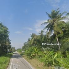 Telok Mengkuang Agriculture Land For Sale!